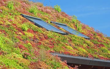 Bucklers Hard living roof systems